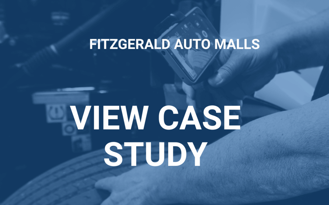 Fitzgerald Auto Malls – Case Study
